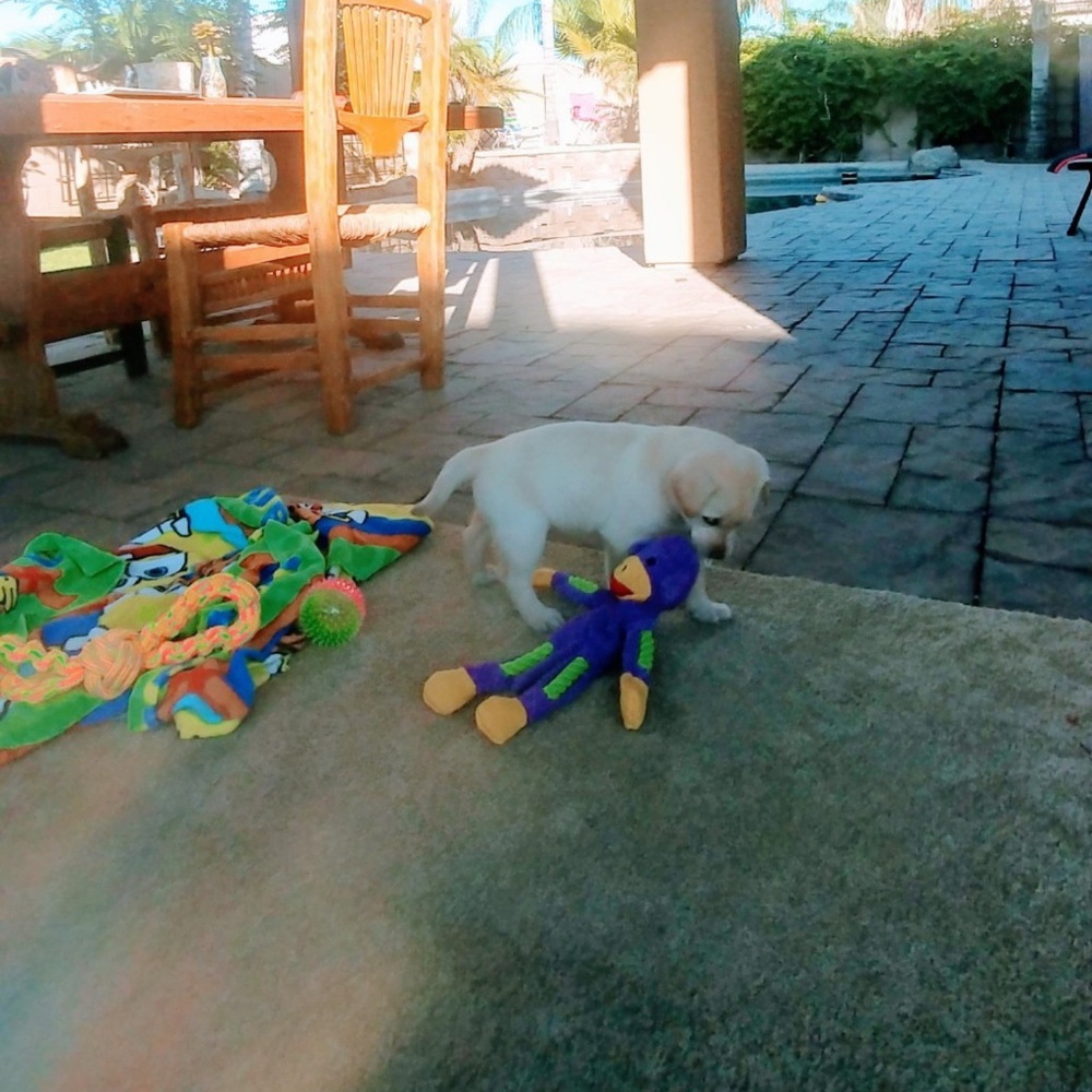 Meet your Posher, Linda